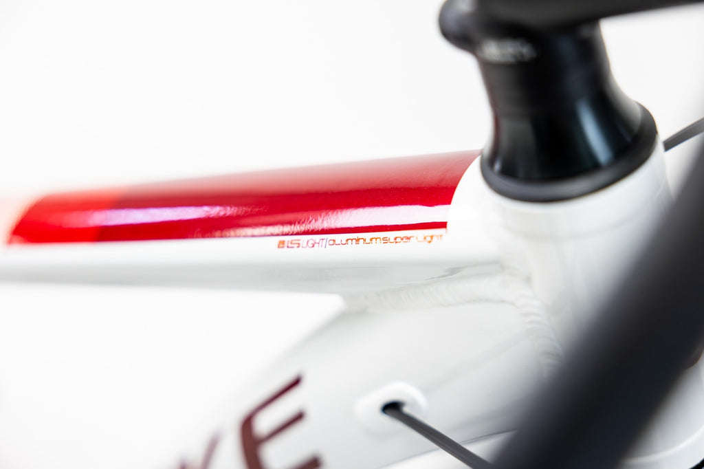 Bicicleta Alubike Kodiak