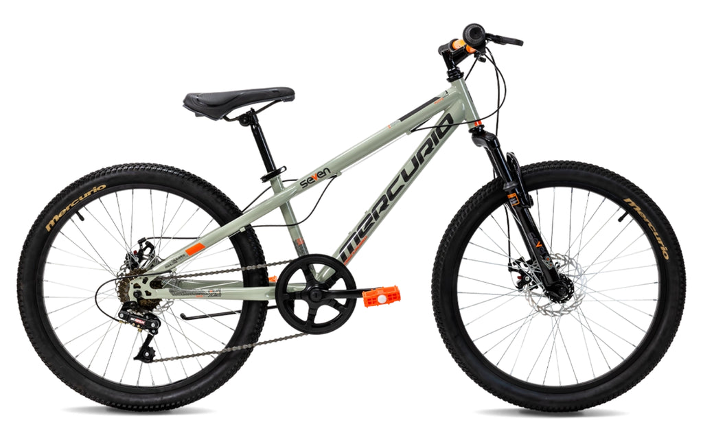 Bicicleta Mercurio Seven R24